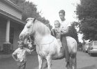 George &#38; Mark on Horse 1961
